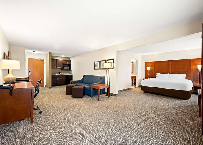 Hotel Comfort & Decatur-forsyth