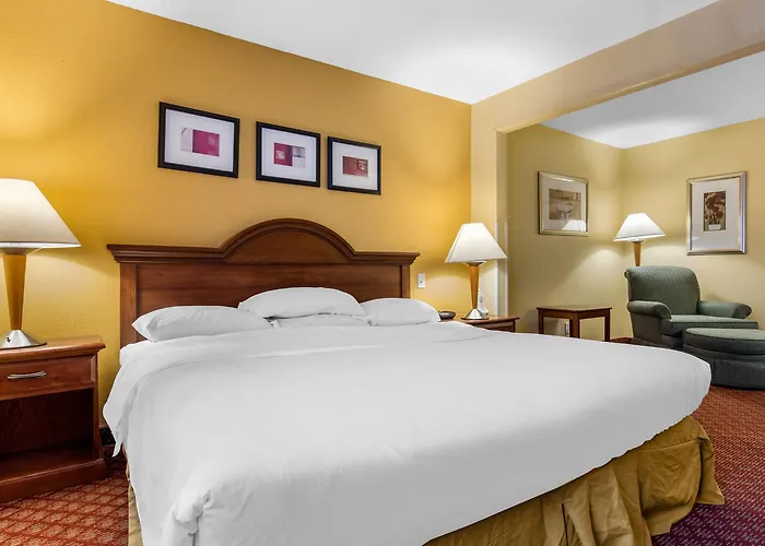 Hotel Comfort & Decatur-forsyth