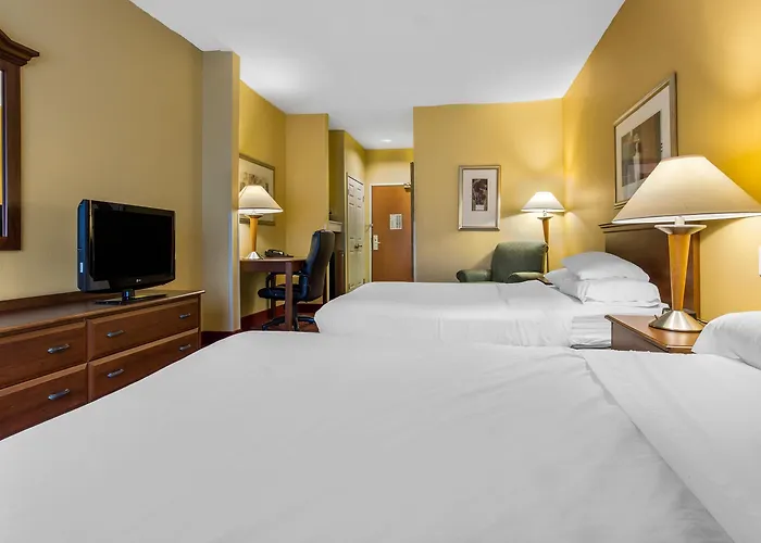 Hotel Comfort & Decatur-forsyth Forsyth