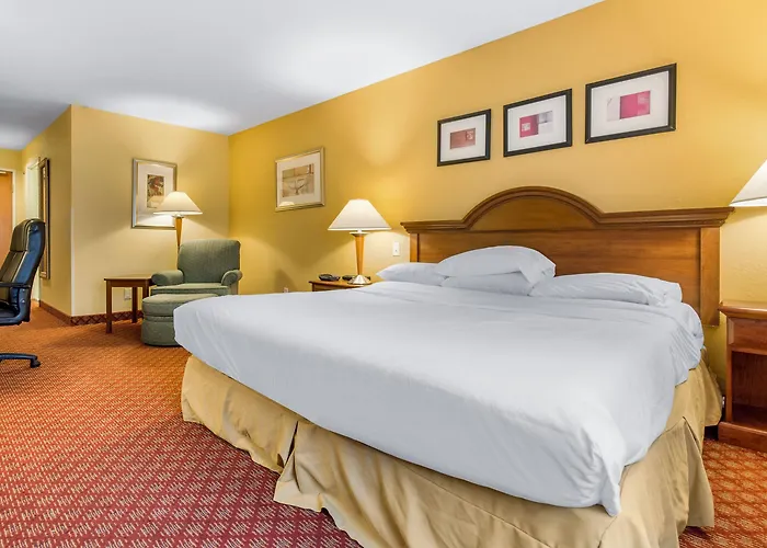 Hotel Comfort & Decatur-forsyth 3*
