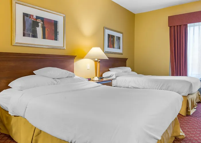 Comfort & Decatur-forsyth Hotel 3*