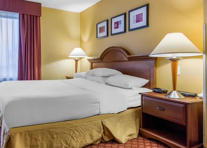 Comfort & Decatur-forsyth 3* Forsyth