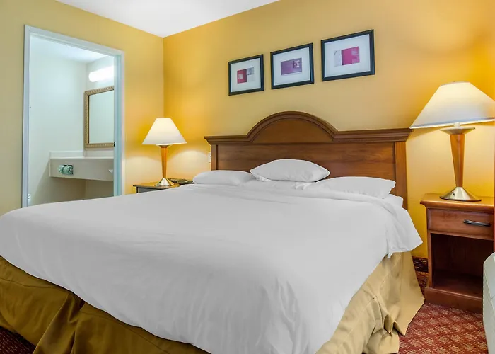 Comfort & Decatur-forsyth Hotel 3*
