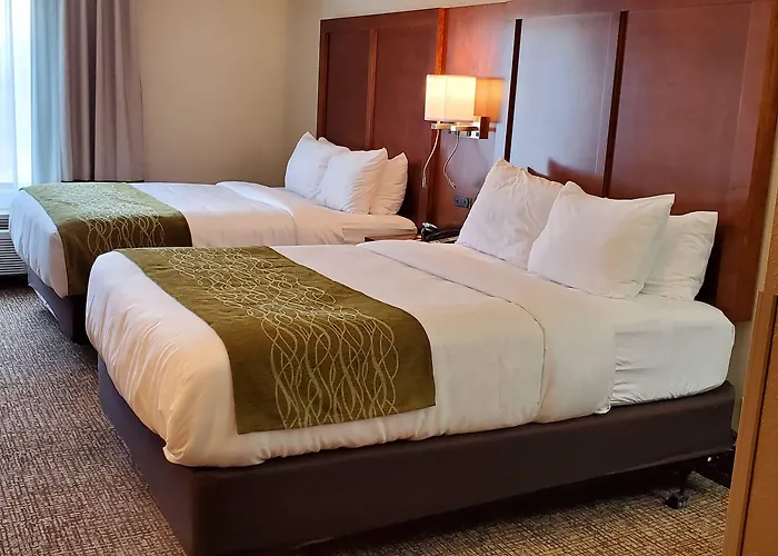 Comfort & Decatur-forsyth