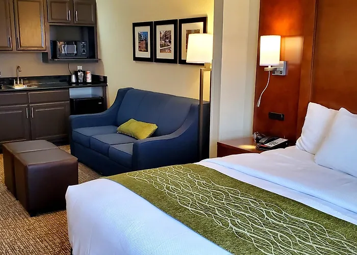 Comfort & Decatur-forsyth Hotel