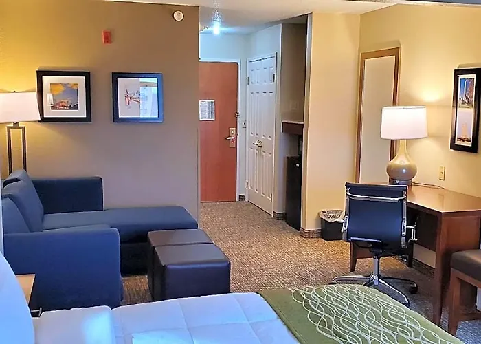 Hotel Comfort & Decatur-forsyth